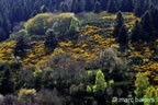 cevennes, printemps 2026,